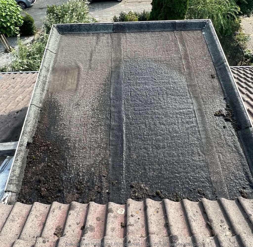 Dak Lekt Haarlem