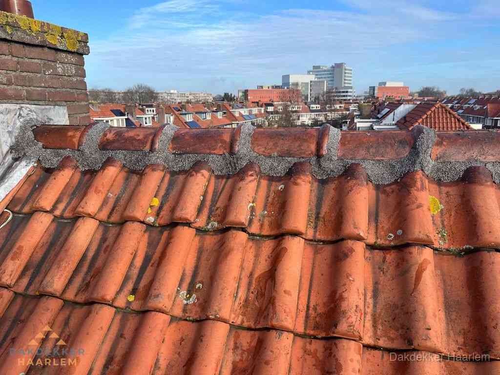 Nieuw bitumen plat dak met uitzicht over woonwijk in Haarlem