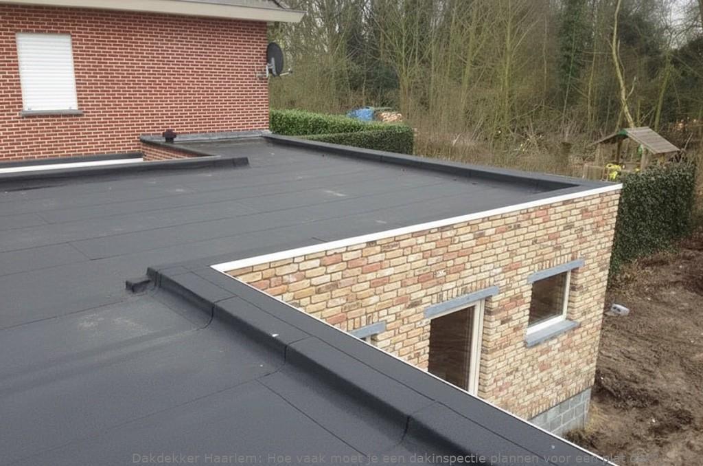 Dakinspectie Plat Dak Haarlem