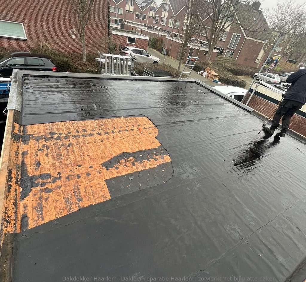 Dakleer Reparatie Haarlem