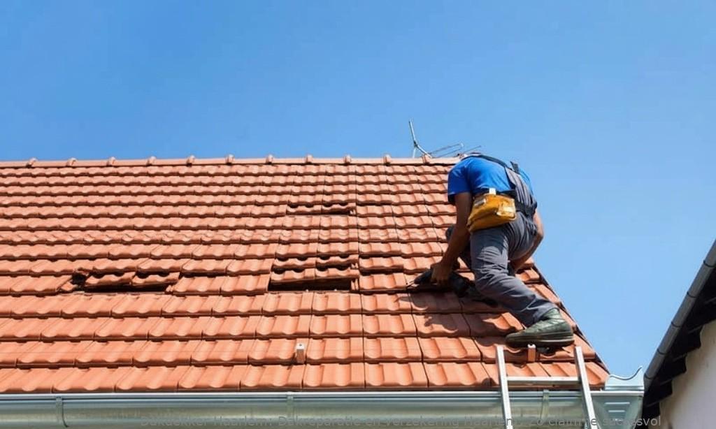 Dakreparatie En Verzekering Haarlem