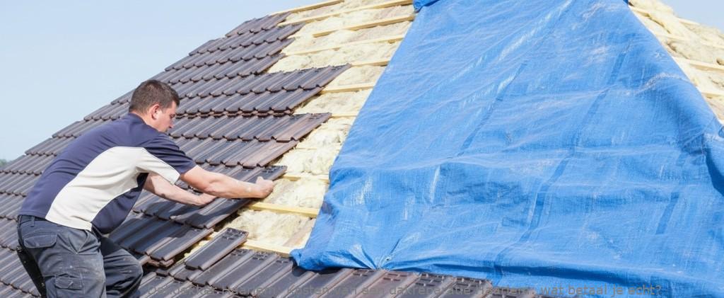 Kosten Van Een Dakreparatie Haarlem