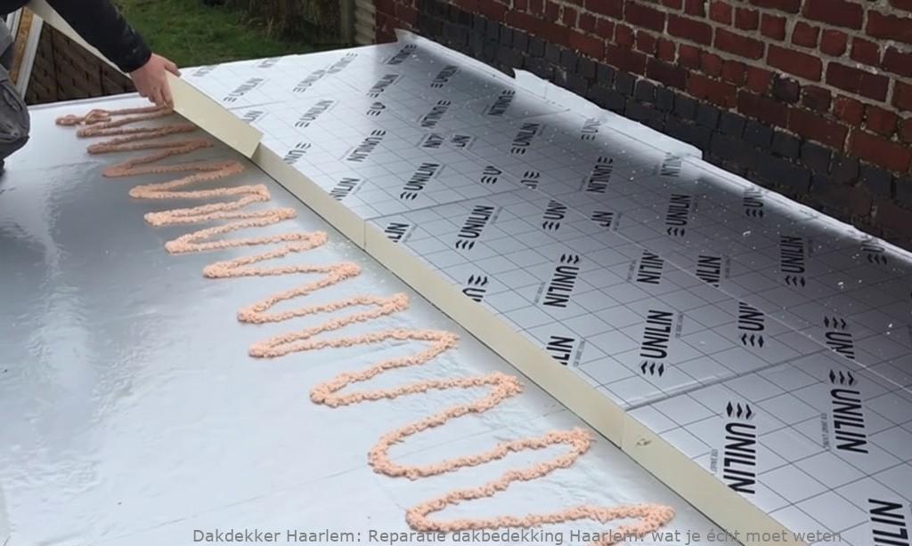 Reparatie Dakbedekking Haarlem