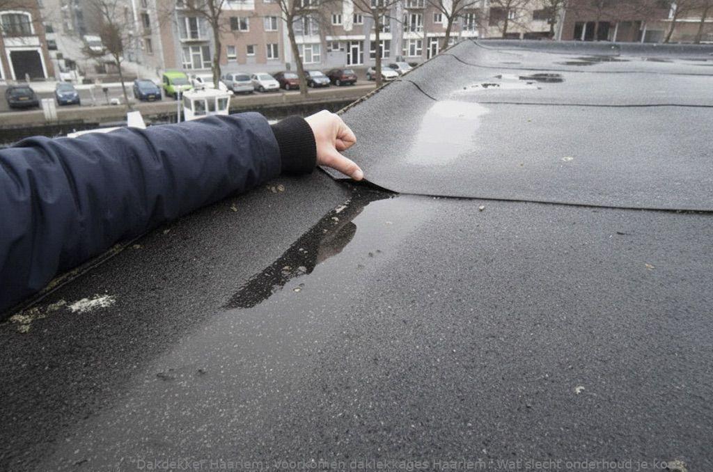 Voorkomen Daklekkages Haarlem